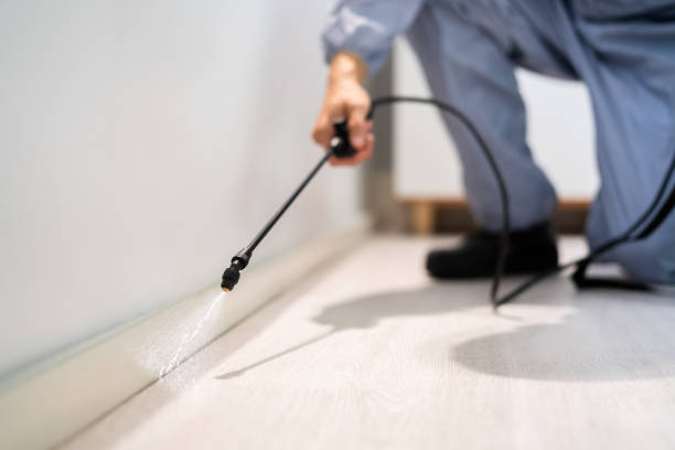 Licensed Cockroach Control service in Edgar County County, IL - Nex Pest Control